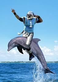 cam on a dolphin.jpg