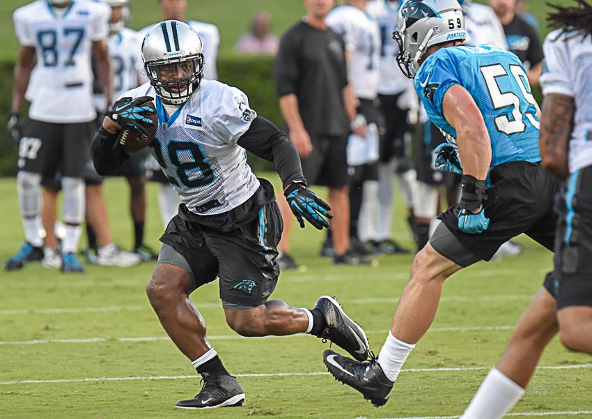 carolina-panthers-training-camp-2015-523