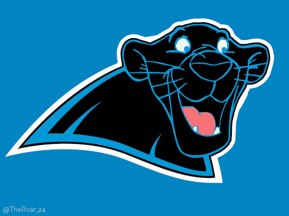 Panthers Fan 69 - Carolina Huddle