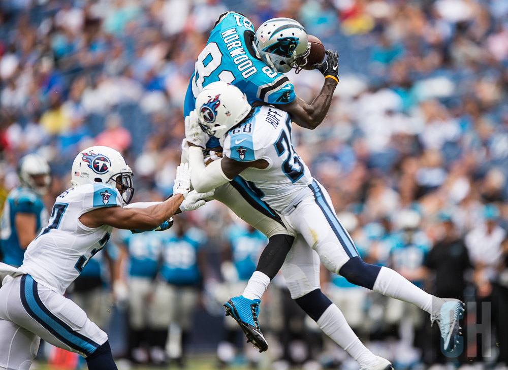 carolina-panthers-2491.jpg