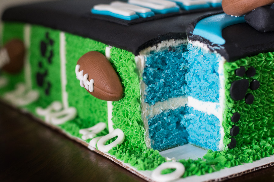 carolina-panthers-cake-3.jpg