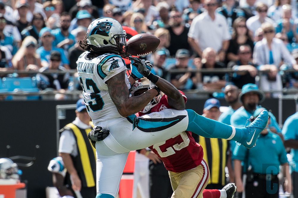 carolina-panthers-kelvin-benjamin-catch-2.jpg