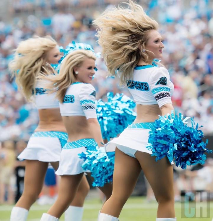 carolina-topcats-2-1.jpg