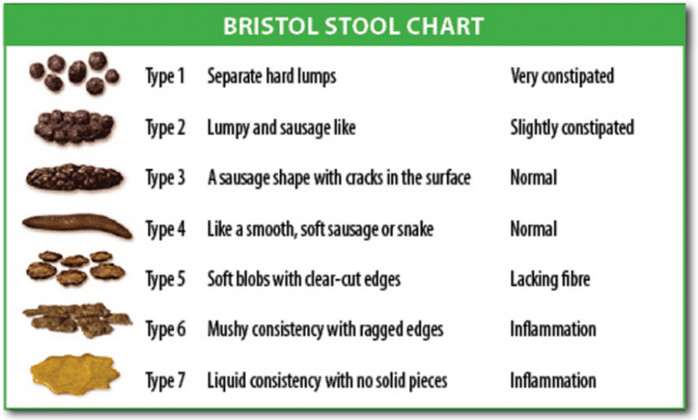 BristolStoolChart.png