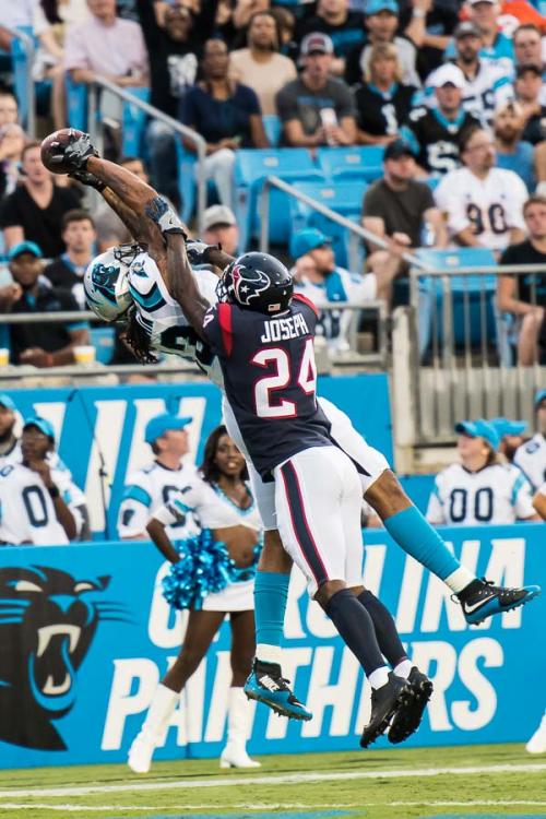 carolina panthers houston texans-11.jpg