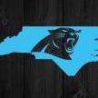 Panthersfan113