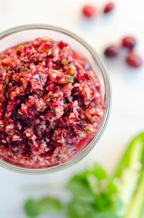 Spicy-Cranberry-Salsa-3-copy.jpg