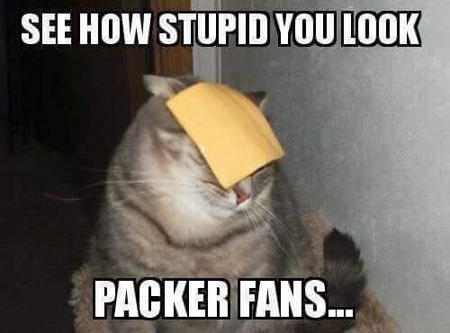 1361178097_Packersfanlookstupid.jpg.934ad1143661f8f5b59348cc27e67788.jpg