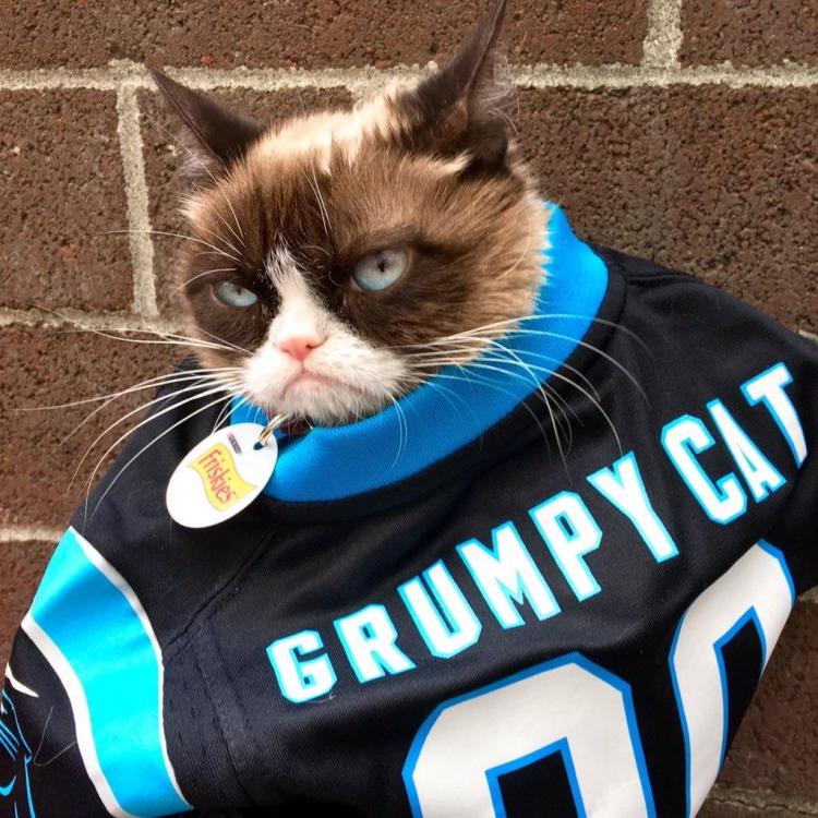 Grumpy.jpg