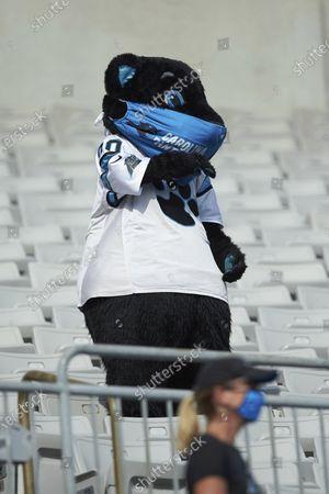 cardinals-panthers-football-charlotte-united-states-shutterstock-editorial-10943688hu.jpg.ece807dd5c6646009c31df66f77a8ed1.jpg