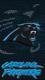 Sptbg Panther Fan